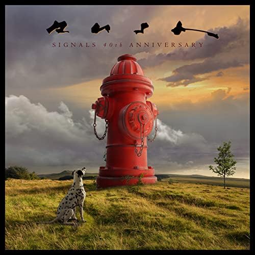LP KIRINJI 『SUPER VIEW』 Kirinji - Super View - Limited Edition - Amazon.com Music